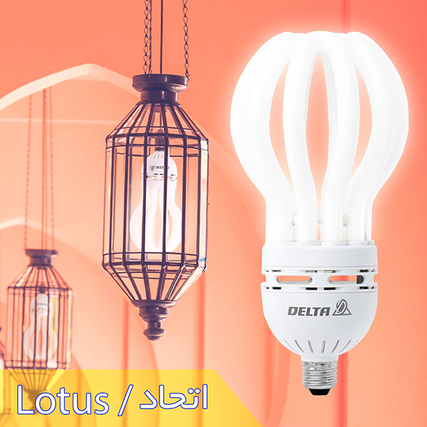 لامپ لوتوس